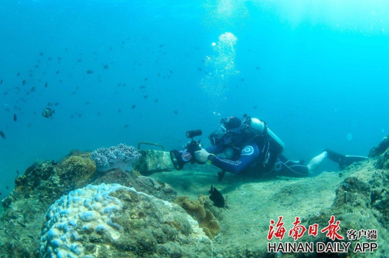 把20只螃蟹的蟹黄掏出来，做了一道秃黄油，满满的蟹黄拌饭太爽游戏画面